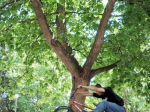 http://ride.hu/bio/1000000058_Godi_Attila/5721228251.jpg