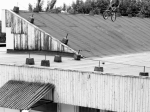 http://ride.hu/bio/1000000116_Toth_Endre/6224620315.jpg