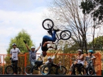 http://ride.hu/bio/1000000481_Vukman_Mark/2884630908.jpg