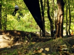 http://ride.hu/bio/1000000486_Pichler_Zsolt/3061541377.jpg