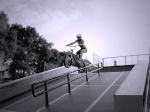 http://ride.hu/bio/1000000545_Lazar_Hunor/1332379529.jpg